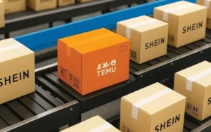 sheyn_0.jpg