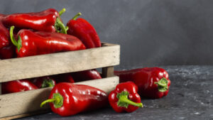 Fresh ripe red capia pepper, hot chili pepper on grey rustic table, turkish vegetable spice concept