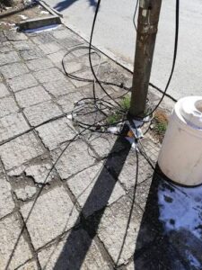 images (1)