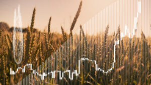Price growth chart against the background of wheat