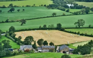 farming-agriculture-farm-crops-8210675.jpg